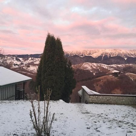 Drumul Carului Villa Moieciu de Jos Εξωτερικό φωτογραφία