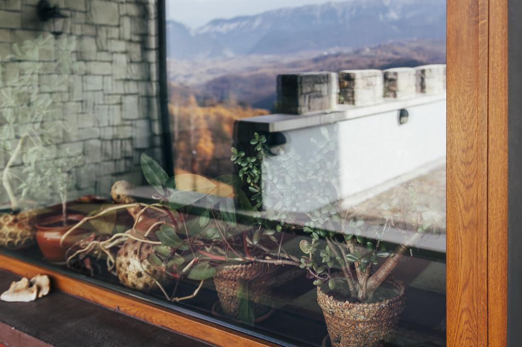 Drumul Carului Villa Moieciu de Jos Εξωτερικό φωτογραφία